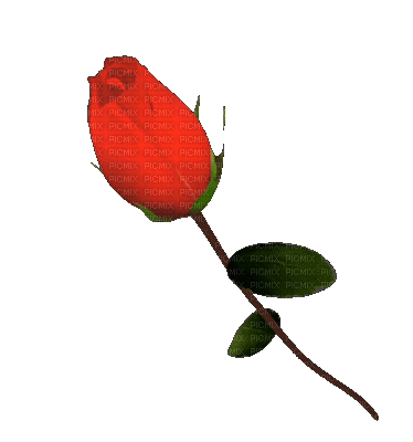 1820327 2e22d