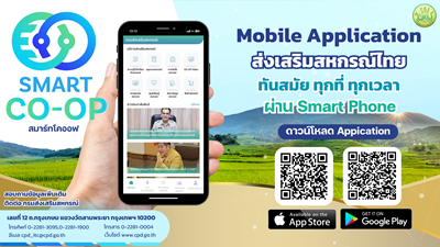 smart coop detail 8