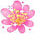 Flower33