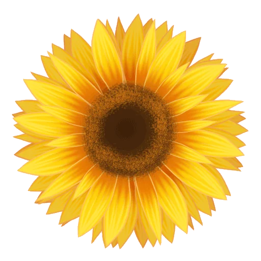 13 17 20 260 512