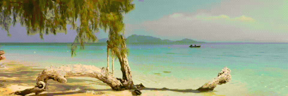 สำนักงานสหกรณ์จังหวัดตรัง2569