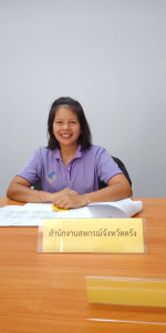 ประชุมจัดทำคำอธิบายข้อมูล (Meta Data)ของชุดข้อมูล ... พารามิเตอร์รูปภาพ 1