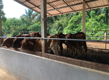 ติดตามผลการดำเนินธุรกิจของสหกรณ์การเกษตรสร้างชาติตรัง จำกัด พารามิเตอร์รูปภาพ 4