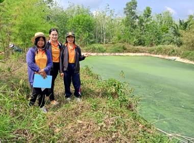 ประชุมปรึกษาหารือหาแนวทางแก้ไขปัญหาบ่อบำบัดน้ำเสีย ... พารามิเตอร์รูปภาพ 5