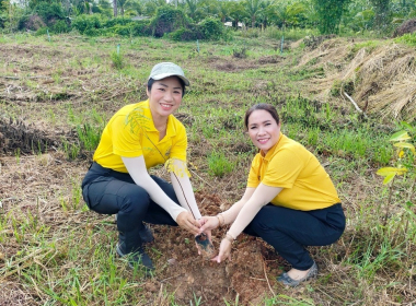 สหกรณ์จังหวัดตรัง เป็นประธานพิธีเปิดกิจกรรมปลูกต้นไม้ ... พารามิเตอร์รูปภาพ 1