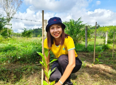 สหกรณ์จังหวัดตรัง เป็นประธานพิธีเปิดกิจกรรมปลูกต้นไม้ ... พารามิเตอร์รูปภาพ 2