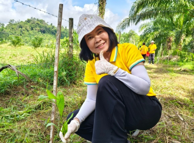 สหกรณ์จังหวัดตรัง เป็นประธานพิธีเปิดกิจกรรมปลูกต้นไม้ ... พารามิเตอร์รูปภาพ 6