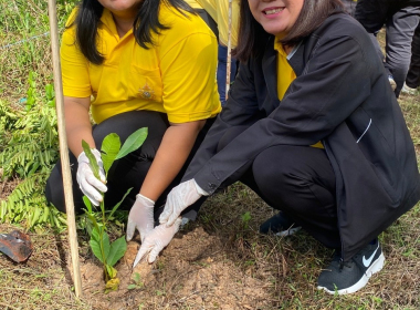 สหกรณ์จังหวัดตรัง เป็นประธานพิธีเปิดกิจกรรมปลูกต้นไม้ ... พารามิเตอร์รูปภาพ 7