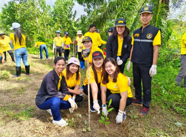 สหกรณ์จังหวัดตรัง เป็นประธานพิธีเปิดกิจกรรมปลูกต้นไม้ ... พารามิเตอร์รูปภาพ 11