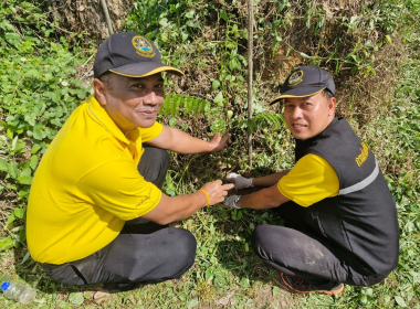 สหกรณ์จังหวัดตรัง เป็นประธานพิธีเปิดกิจกรรมปลูกต้นไม้ ... พารามิเตอร์รูปภาพ 15