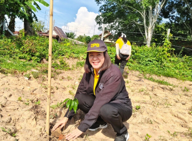 กิจกรรมปลูกต้นไม้เพิ่มพื้นที่สีเขียวและกิจกรรมบำเพ็ญประโยชน์ เฉลิมพระเกียรติพระบาทสมเด็จพระเจ้าอยู่หัว เนื่องในโอกาสมหามงคลเฉลิมพระชนมพรรษา 6 รอบ ... พารามิเตอร์รูปภาพ 11