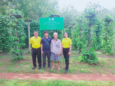 ลงพื้นที่ตรวจเยี่ยมแปลงพริกไทยสมาชิกสหกรณ์การเกษตรปะเหลียน ... พารามิเตอร์รูปภาพ 1