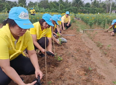 ร่วมกิจกรรมจิตอาสาบำเพ็ญสาธารณประโยชน์เฉลิมพระเกียรติสมเด็จพระนางเจ้าสิริกิติ์ ... พารามิเตอร์รูปภาพ 4