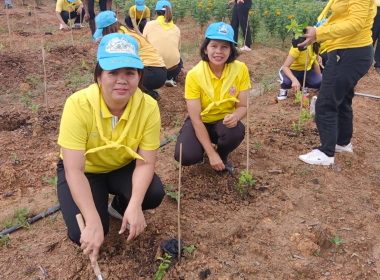 ร่วมกิจกรรมจิตอาสาบำเพ็ญสาธารณประโยชน์เฉลิมพระเกียรติสมเด็จพระนางเจ้าสิริกิติ์ ... พารามิเตอร์รูปภาพ 8