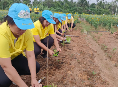 ร่วมกิจกรรมจิตอาสาบำเพ็ญสาธารณประโยชน์เฉลิมพระเกียรติสมเด็จพระนางเจ้าสิริกิติ์ ... พารามิเตอร์รูปภาพ 9