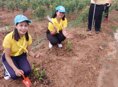 ร่วมกิจกรรมจิตอาสาบำเพ็ญสาธารณประโยชน์เฉลิมพระเกียรติสมเด็จพระนางเจ้าสิริกิติ์ ... พารามิเตอร์รูปภาพ 10