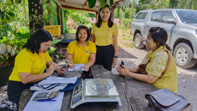 ลงพื้นที่ตรวจสอบและสนับสนุนการผลิตพริกไทยพันธุ์ปะเหลียน ... พารามิเตอร์รูปภาพ 1