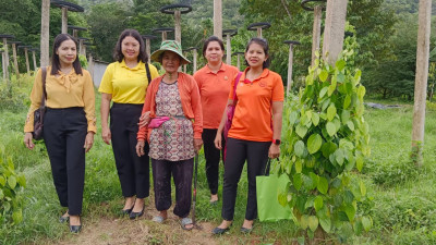 เจ้าหน้าที่สหกรณ์จังหวัดตรังลงพื้นที่ติดตามแผนการผลิตพริกไทยพันธุ์ปะเหลียนและยกระดับผลผลิตสู่มาตรฐาน GAP ... พารามิเตอร์รูปภาพ 1