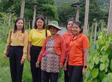 เจ้าหน้าที่สหกรณ์จังหวัดตรังลงพื้นที่ติดตามแผนการผลิตพริกไทยพันธุ์ปะเหลียนและยกระดับผลผลิตสู่มาตรฐาน GAP ... พารามิเตอร์รูปภาพ 1