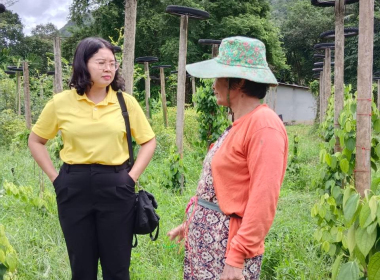 เจ้าหน้าที่สหกรณ์จังหวัดตรังลงพื้นที่ติดตามแผนการผลิตพริกไทยพันธุ์ปะเหลียนและยกระดับผลผลิตสู่มาตรฐาน GAP ... พารามิเตอร์รูปภาพ 2