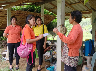 เจ้าหน้าที่สหกรณ์จังหวัดตรังลงพื้นที่ติดตามแผนการผลิตพริกไทยพันธุ์ปะเหลียนและยกระดับผลผลิตสู่มาตรฐาน GAP ... พารามิเตอร์รูปภาพ 5