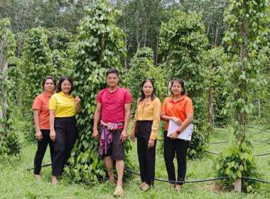 เจ้าหน้าที่สหกรณ์จังหวัดตรังลงพื้นที่ติดตามแผนการผลิตพริกไทยพันธุ์ปะเหลียนและยกระดับผลผลิตสู่มาตรฐาน GAP ... พารามิเตอร์รูปภาพ 8