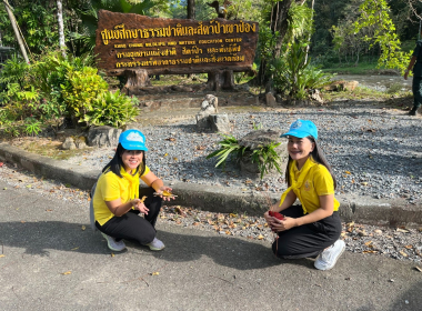 กิจกรรมจิตอาสาพัฒนาในโอกาสวันสำคัญของชาติไทย ... พารามิเตอร์รูปภาพ 10