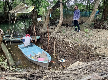 ลงพื้นที่ป่าชายเลนบ้านทุ่งสำราญ อำเภอยานตาขาว จังหวัดตรัง พารามิเตอร์รูปภาพ 1