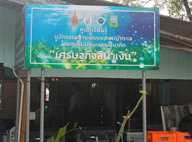 โครงการขับเคลื่อนการเกษตรระดับหมู่บ้านสู่การผลิตสินค้าเกษตรมูลค่าสูงของอำเภอสิเกา ... พารามิเตอร์รูปภาพ 5