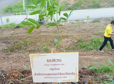 กิจกรรมจิตอาสาพัฒนา ปลูกต้นไม้ และปล่อยพันธุ์สัตว์น้ำ ... พารามิเตอร์รูปภาพ 1