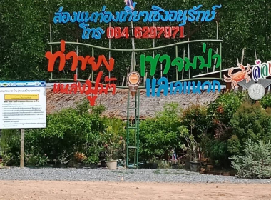 ลงพื้นที่ป่าชายเลนชุมชนบ้านท่ากะหยง หมู่ที่ 4 ตำบลบางสัก ... พารามิเตอร์รูปภาพ 5