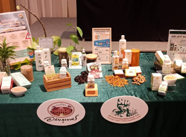 รอบรมและศึกษาดูงานตามโครงการ ประชุมเชิงปฏิบัติการ ... พารามิเตอร์รูปภาพ 6