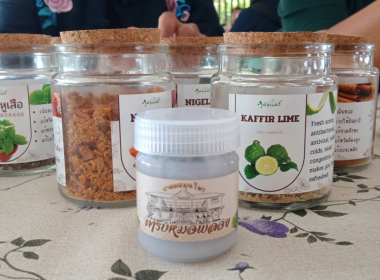 รอบรมและศึกษาดูงานตามโครงการ ประชุมเชิงปฏิบัติการ ... พารามิเตอร์รูปภาพ 8