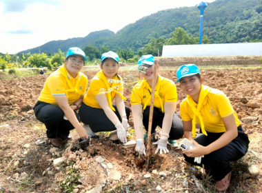 กิจกรรมจิตอาสาพัฒนาบำเพ็ญสาธารณประโยชน์เฉลิมพระเกียรติ ... พารามิเตอร์รูปภาพ 6