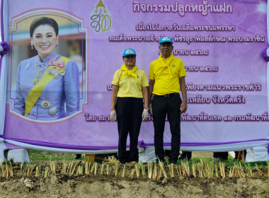 กิจกรรมจิตอาสาพัฒนาบำเพ็ญสาธารณประโยชน์เฉลิมพระเกียรติ ... พารามิเตอร์รูปภาพ 22