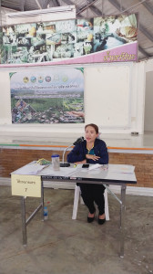 ชี้แจงในฐานะ ... พารามิเตอร์รูปภาพ 1