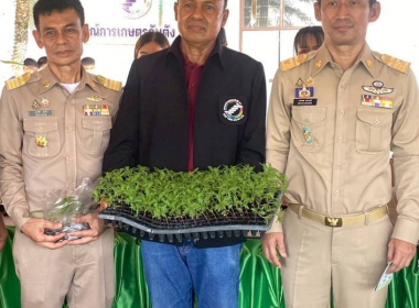 โครงการหน่วยบำบัดทุกข์ บำรุงสุข สร้างรอยยิ้มให้ประชาชน ... พารามิเตอร์รูปภาพ 7