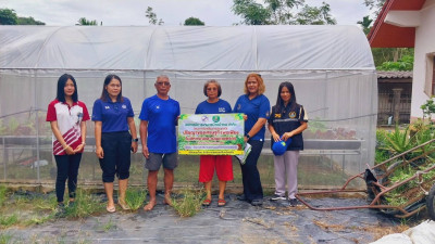 ติดตามการดำเนิน โครงการปลูกผักปลอดสารพิษ ... พารามิเตอร์รูปภาพ 1