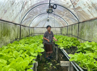 ติดตามการดำเนิน โครงการปลูกผักปลอดสารพิษ ... พารามิเตอร์รูปภาพ 1