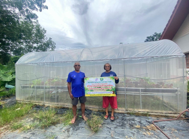 ติดตามการดำเนิน โครงการปลูกผักปลอดสารพิษ ... พารามิเตอร์รูปภาพ 2