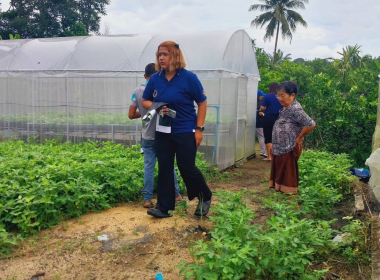 ติดตามการดำเนิน โครงการปลูกผักปลอดสารพิษ ... พารามิเตอร์รูปภาพ 6