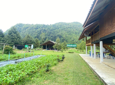 ติดตามการดำเนิน โครงการปลูกผักปลอดสารพิษ ... พารามิเตอร์รูปภาพ 8