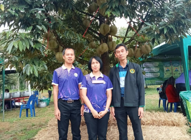 งานวันเก็บเกี่ยว ทุเรียนเมืองพระยารัษฎา ทุเรียนตรัง ... พารามิเตอร์รูปภาพ 9