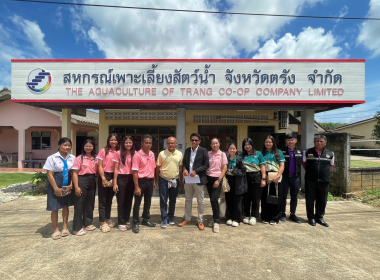 ติดตามการดำเนินธุรกิจของ ... พารามิเตอร์รูปภาพ 6