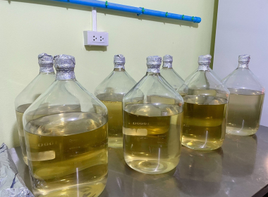 ติดตามการดำเนินธุรกิจของ ... พารามิเตอร์รูปภาพ 11