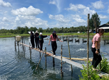 ติดตามการดำเนินธุรกิจของ ... พารามิเตอร์รูปภาพ 14