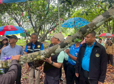 อธิบดีกรมส่งเสริมสหกรณ์ และคณะ ลงพื้นที่จังหวัดสตูล พารามิเตอร์รูปภาพ 6