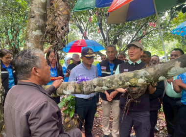 อธิบดีกรมส่งเสริมสหกรณ์ และคณะ ลงพื้นที่จังหวัดสตูล พารามิเตอร์รูปภาพ 25