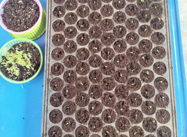 โครงการประชุมเชิงปฏิบัติการเพื่อพัฒนาคุณภาพชีวิตของ ... พารามิเตอร์รูปภาพ 23