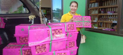 กระจายลำไยของสหกรณ์การเกษตรประตูป่า จำกัด จังหวัดลำพูน ... พารามิเตอร์รูปภาพ 1